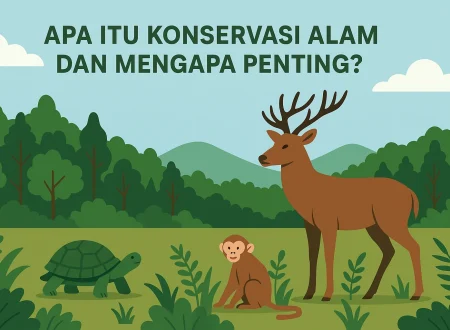 konservasi alam