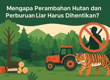 perburuan liar, kerusakan hutan, Perambahan Hutan