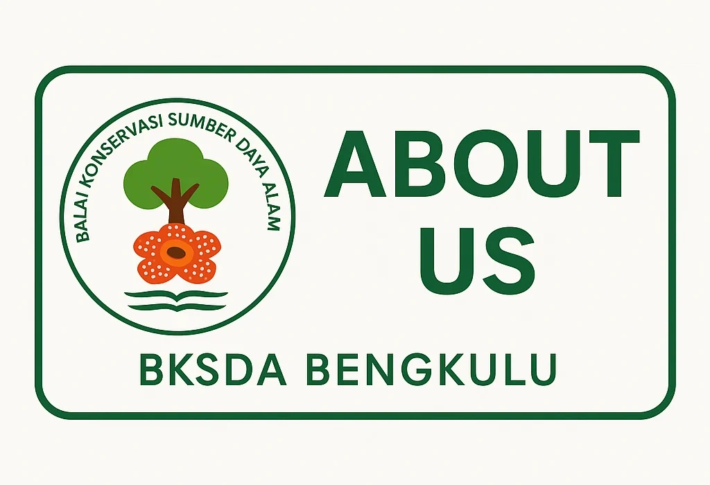 about us, tentang kami