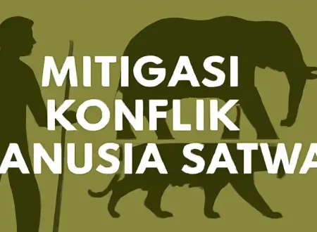 konflik manusia satwa