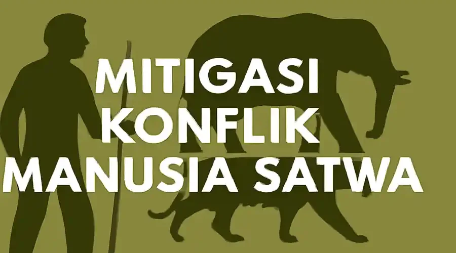 konflik manusia satwa