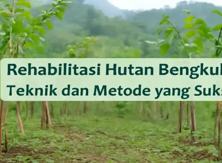 Rehabilitasi hutan Bengkulu