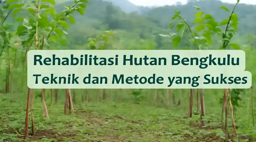Rehabilitasi hutan Bengkulu