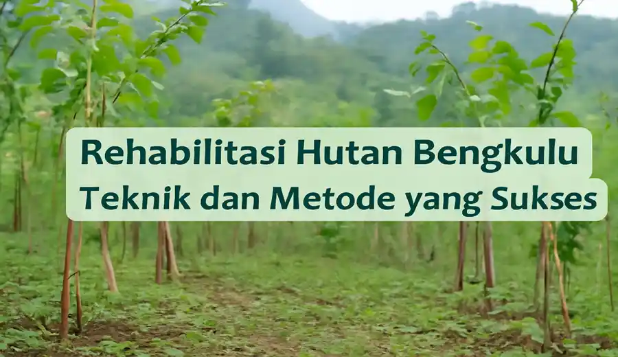 Rehabilitasi hutan Bengkulu