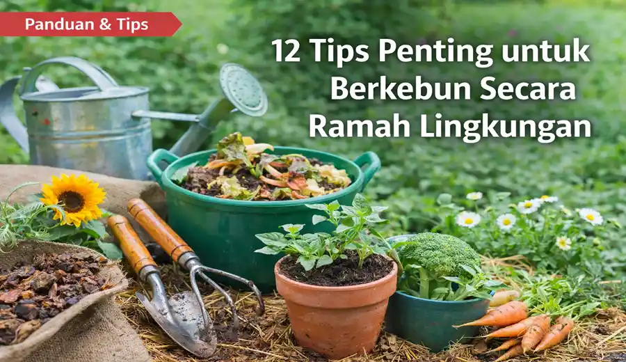 Tips Penting untuk Berkebun Secara Ramah Lingkungan
